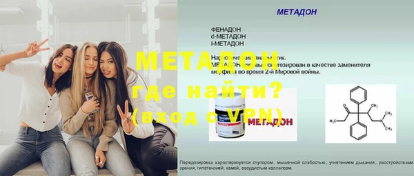 сатива Новозыбков