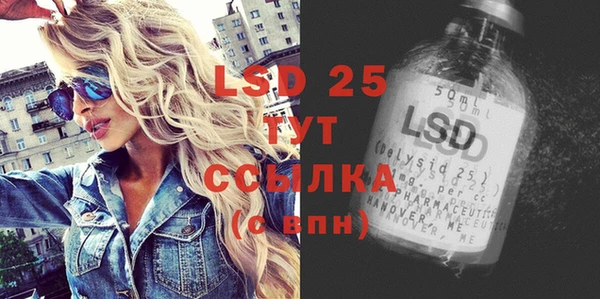 ПСИЛОЦИБИНОВЫЕ ГРИБЫ Апатиты