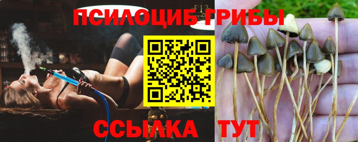 Галлюциногенные грибы GOLDEN TEACHER  Галлюциногенные грибы GOLDEN TEACHER  Новоуральск  Вход с VPN 